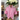 Pink Check Ruffle Revival Shirt L 320