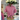 Raspberry Gingham Ruffle Revival Shirt M 330