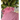 Raspberry Gingham Ruffle Revival Shirt L 330