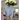 Blue Gingham Ruffle Revival Shirt S 406