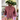 Crimson Chambray Ruffle Revival Shirt M 417