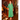 High Horse Shirt Dress Long